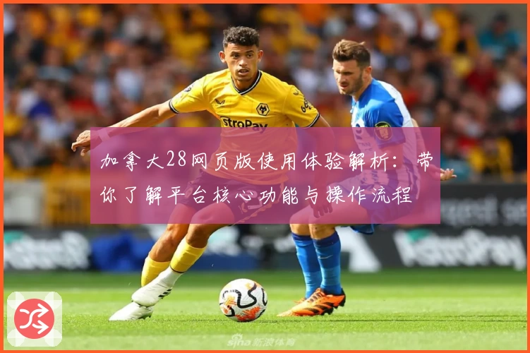 加拿大28网页版使用体验解析：带你了解平台核心功能与操作流程