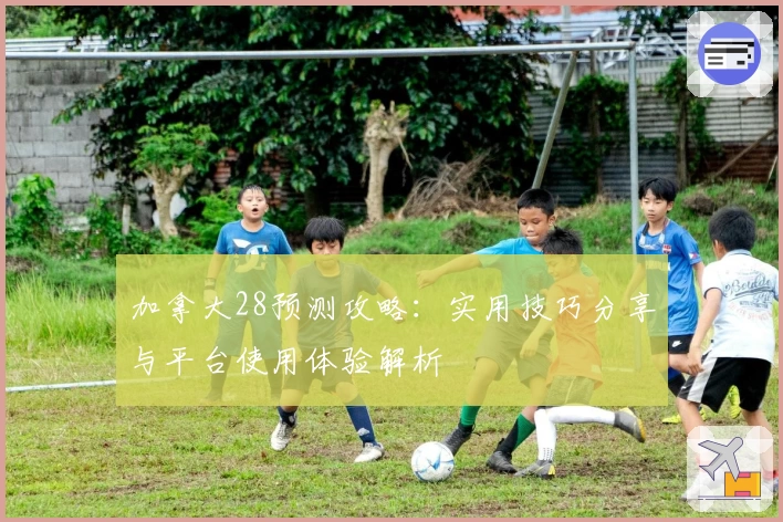 加拿大28预测攻略：实用技巧分享与平台使用体验解析