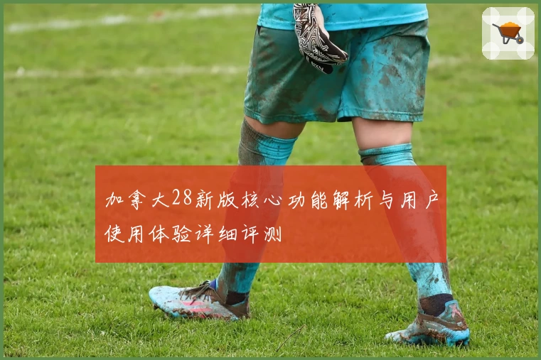 加拿大28新版核心功能解析与用户使用体验详细评测