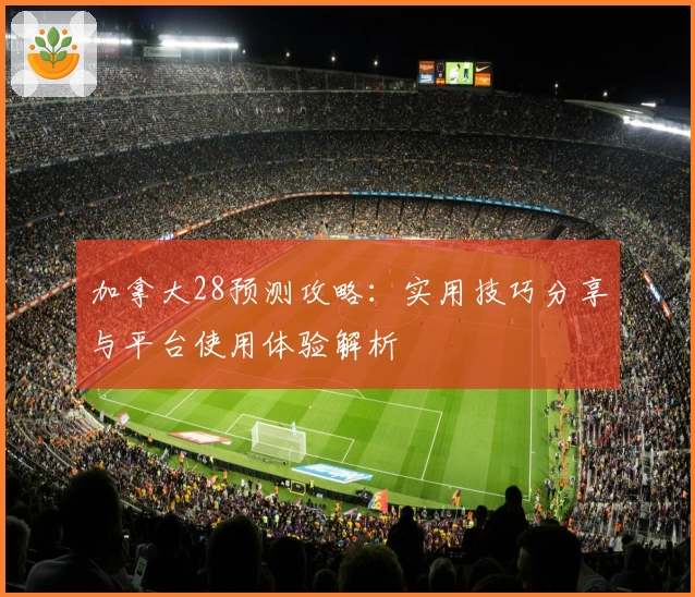 加拿大28预测攻略：实用技巧分享与平台使用体验解析