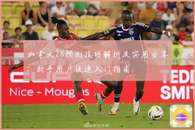 加拿大28预测技巧解析及实用分享：新手用户快速入门指南