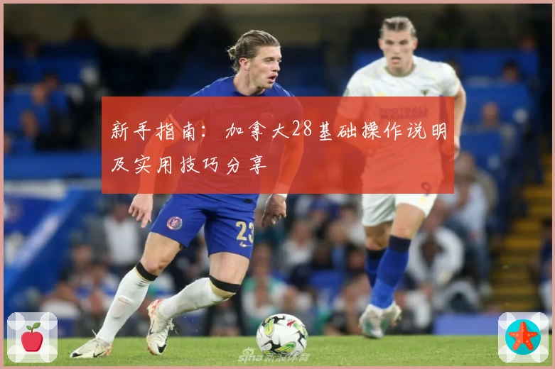 新手指南：加拿大28基础操作说明及实用技巧分享