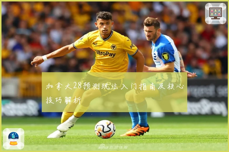 加拿大28预测玩法入门指南及核心技巧解析