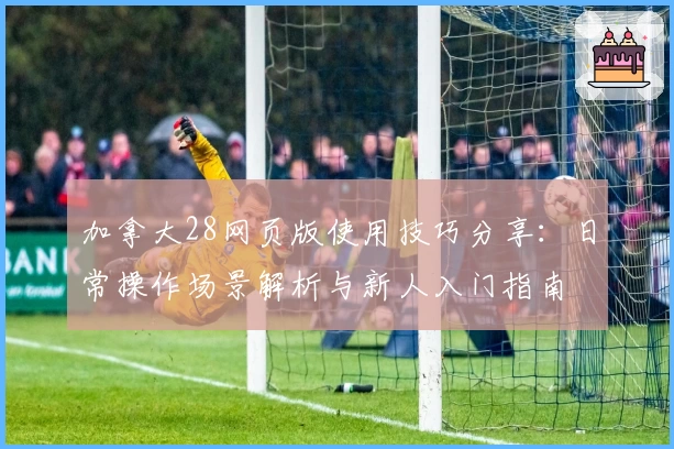 加拿大28网页版使用技巧分享：日常操作场景解析与新人入门指南