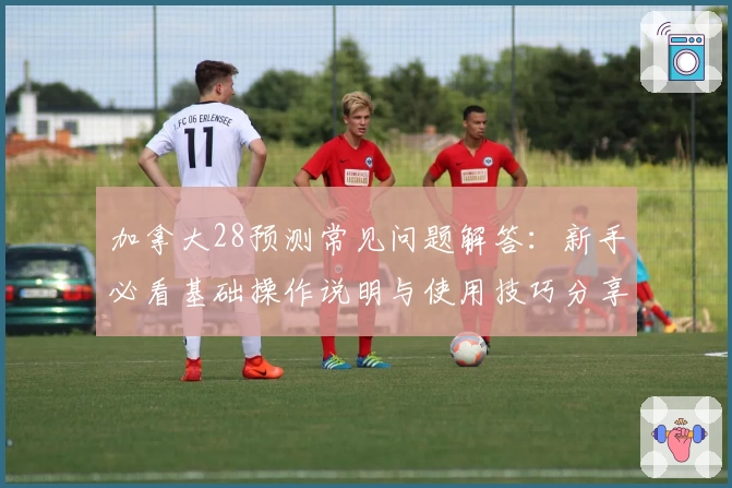加拿大28预测常见问题解答：新手必看基础操作说明与使用技巧分享