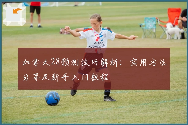 加拿大28预测技巧解析：实用方法分享及新手入门教程