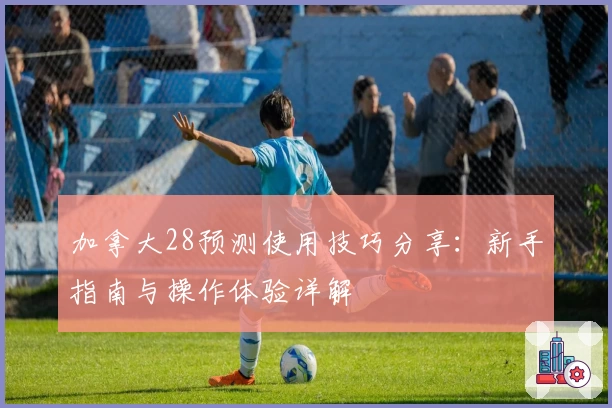加拿大28预测使用技巧分享：新手指南与操作体验详解
