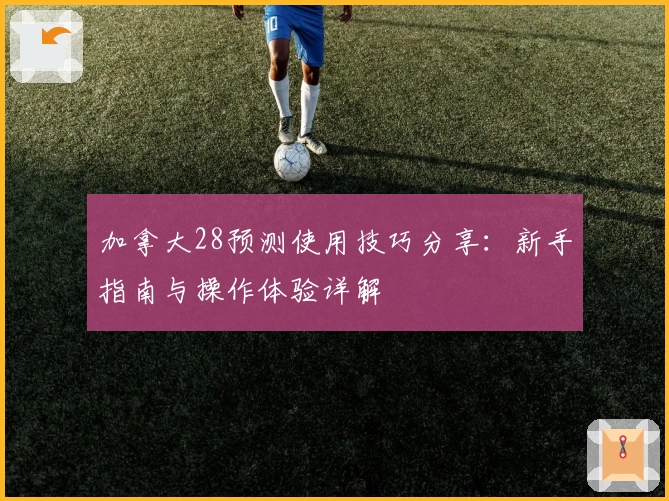 加拿大28预测使用技巧分享:新手指南与操作体验详解