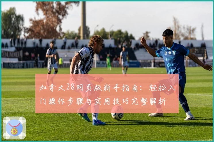 加拿大28网页版新手指南：轻松入门操作步骤与实用技巧完整解析